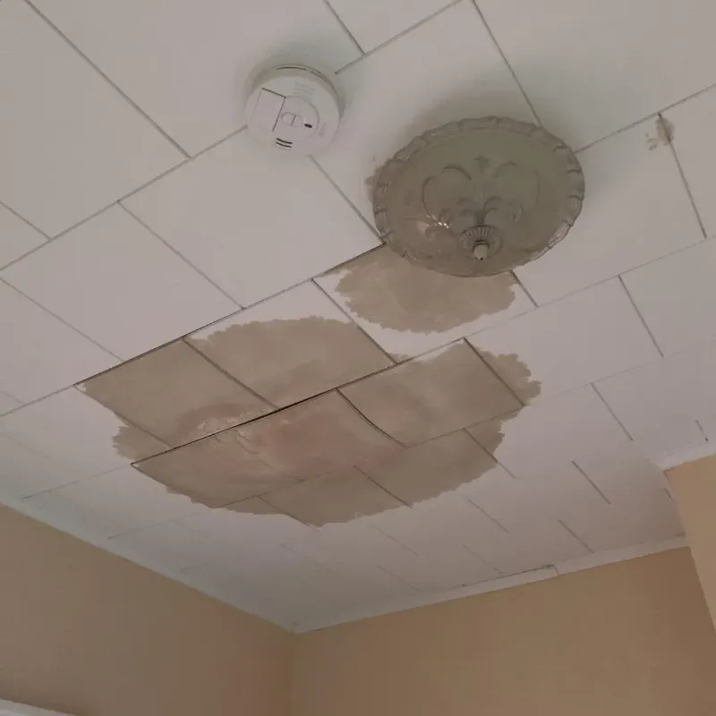 Ceiling Water Damage Repair in Reiffton, PA