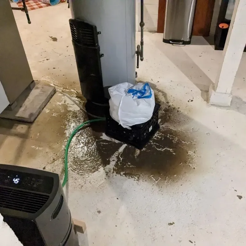 Sewage Backup Cleanup Service in Reiffton, PA